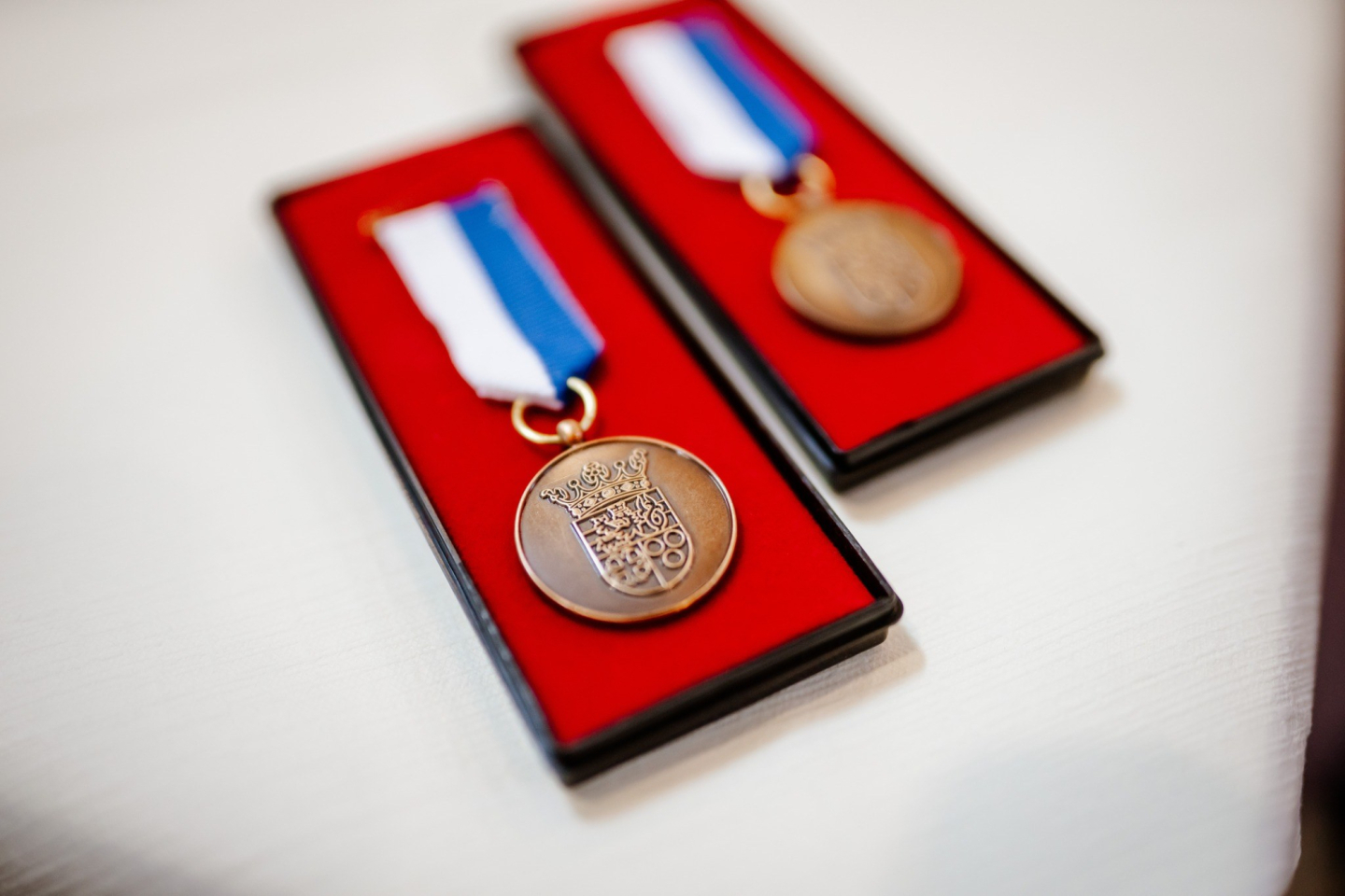 545811421 1204562848382672 6815751133196214664 n