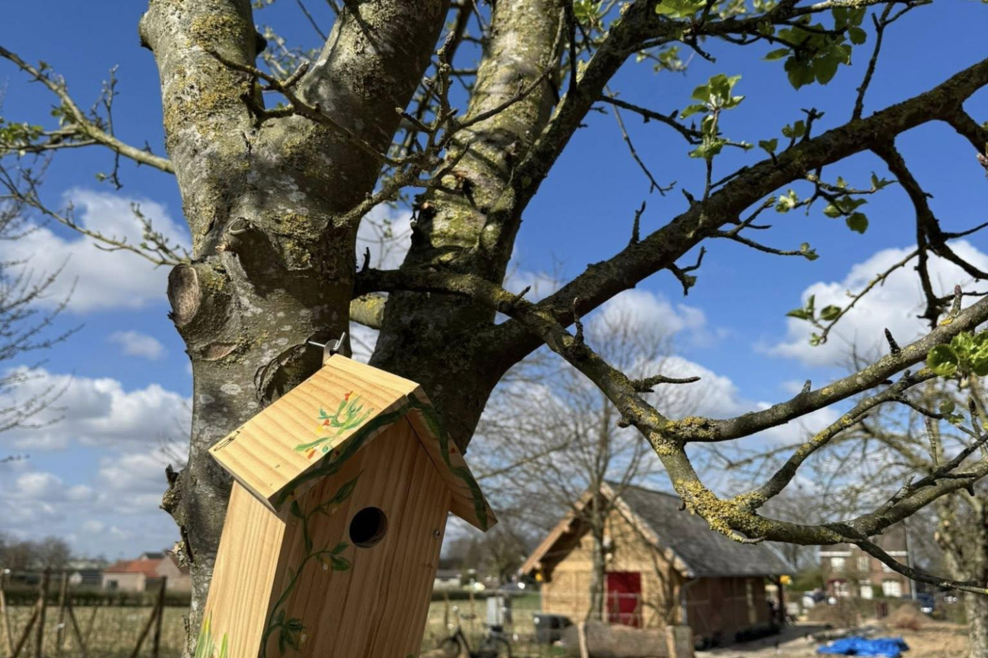 614457329 1285556846713897 2225090553603018652 n